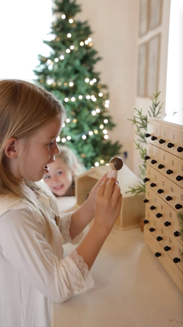 Preview /69170cbde565940009b03e59/2025/11/28/product-img-6929f3c45d94cc89807c5ea5.png