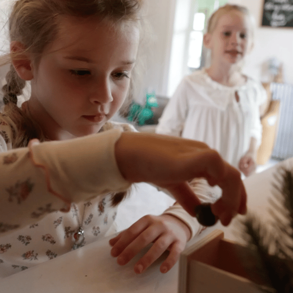 Preview /69170cbde565940009b03e59/2025/11/28/product-img-6929f3c55d94cc89807c5eaa.png